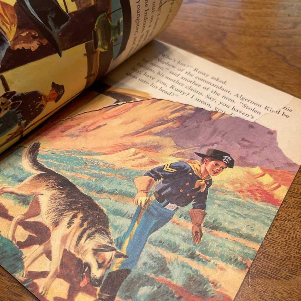 Vintage Golden Book Lot Tarzan 1964 Lady 1954 Rin Tin Tin and Rusty 1955 - Picture 12 of 13
